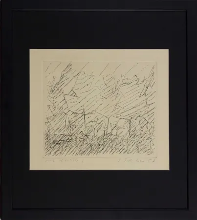 Acquaforte Della Torre - Alberi in Lombardia