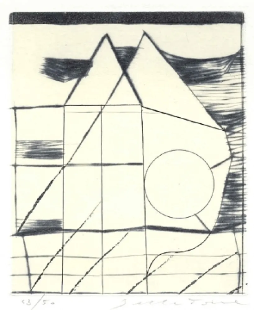 Libro Illustrato Della Torre - Immagini riflesse