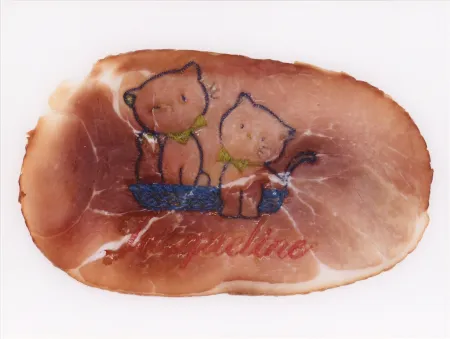Fotografie Delvoye - Untitled 02 (Photograph of Embroidered Ham) (