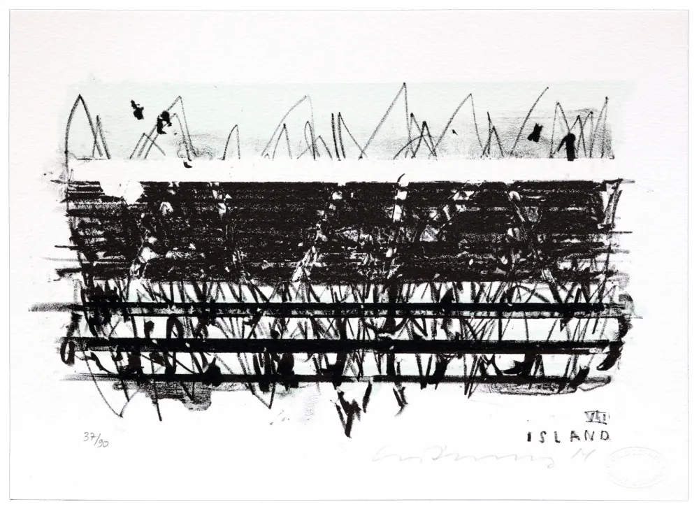 Litografia Denning - Islande VII