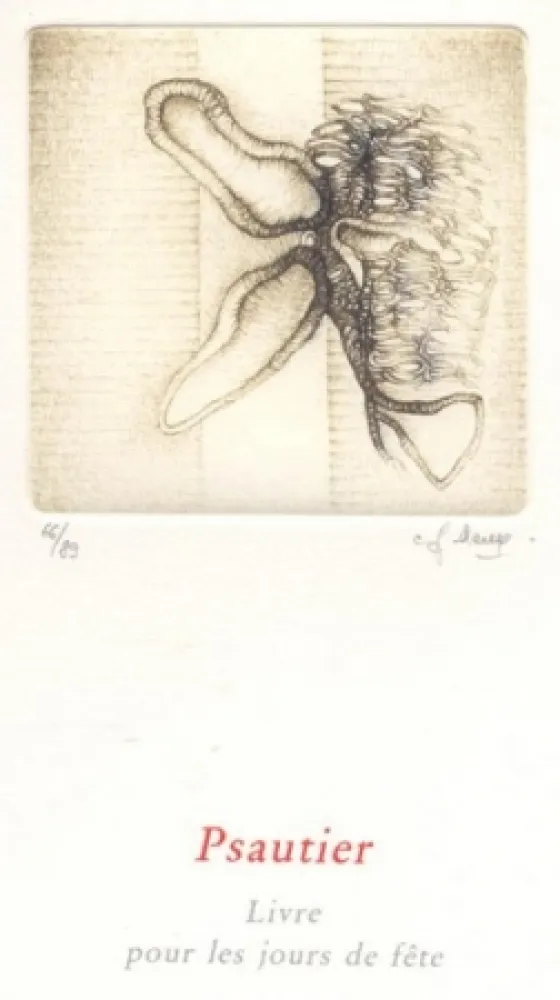 Libro Illustrato Deux - Psautier