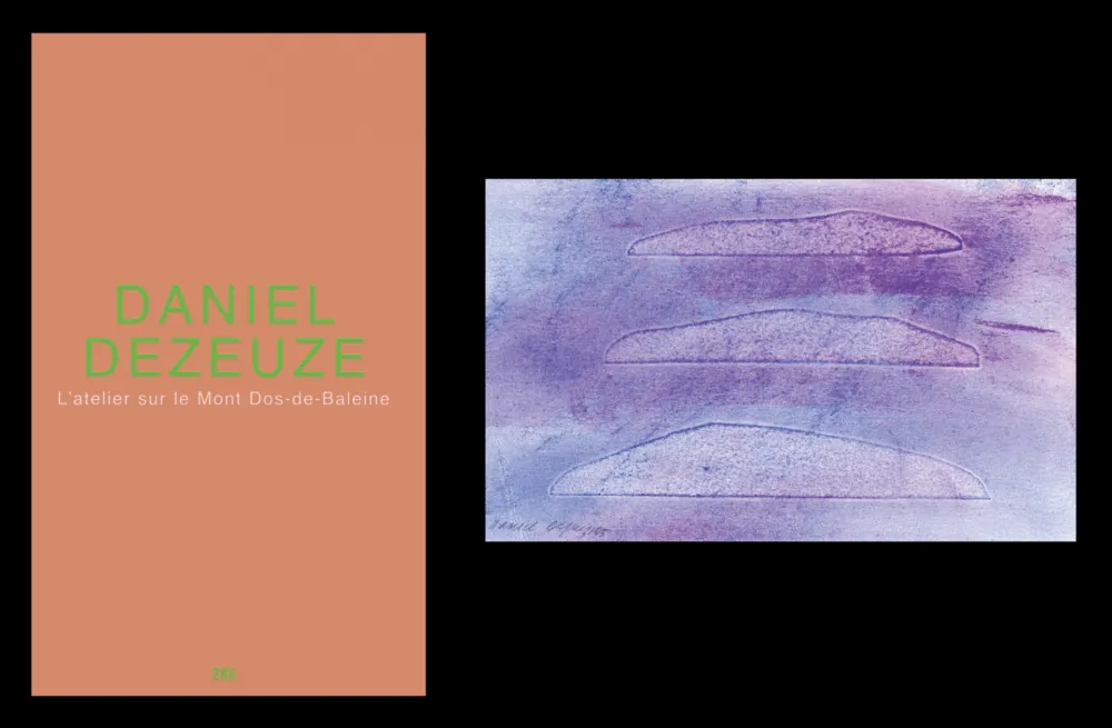 Libro Illustrato Dezeuze - L'art en écrit 