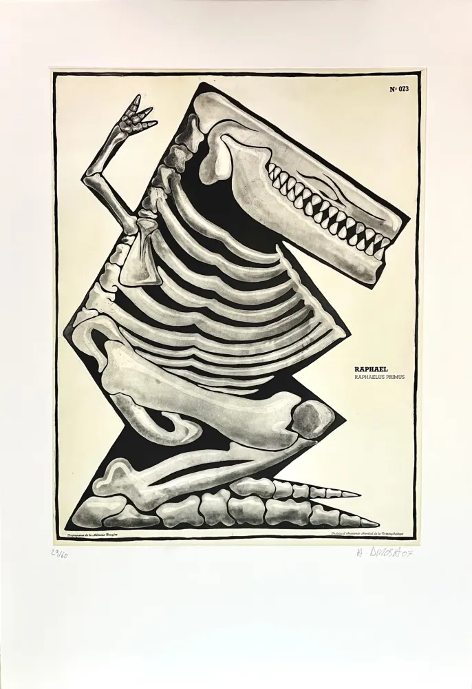 Incisione Di Rosa - Raphaël