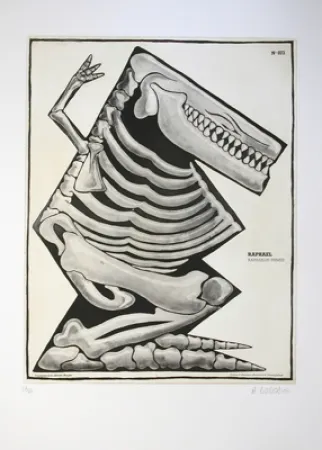 Acquaforte E Acquatinta Di Rosa - Raphaël