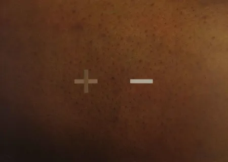 Serigrafia Dias - S.T.