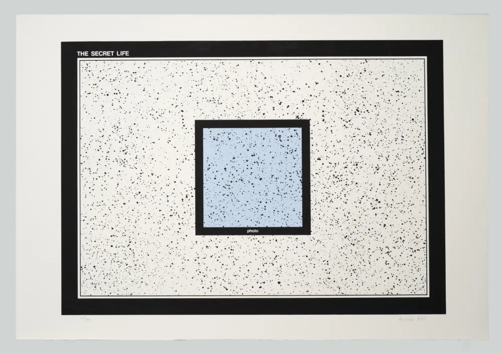 Serigrafia Dias - The secret life