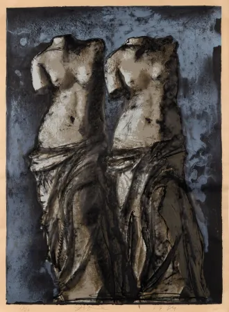 Multiplo Dine - Double Venus in sky at night