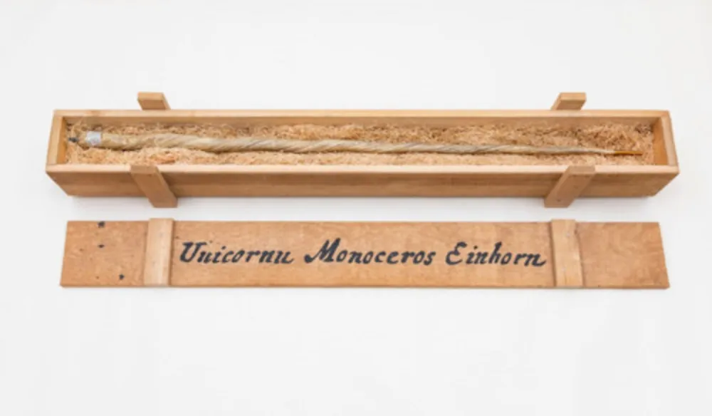 Multiplo Dion - My Most Priceless Treasure (unicorn)