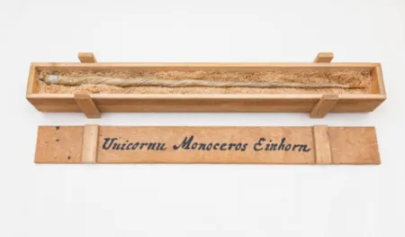 Multiplo Dion - My Most Priceless Treasure (unicorn)