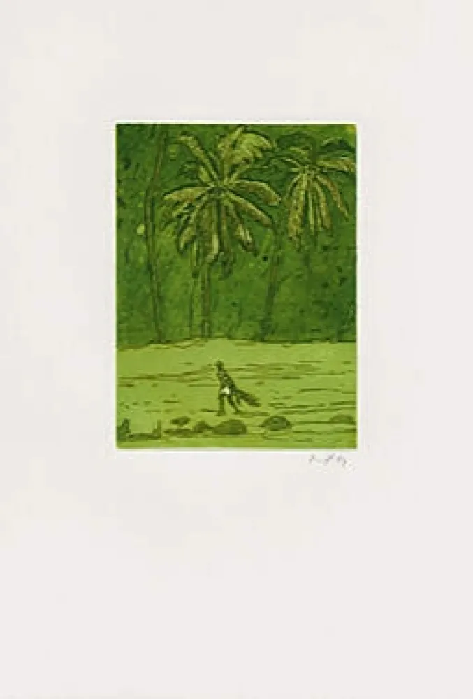 Acquaforte E Acquatinta Doig - Pelican