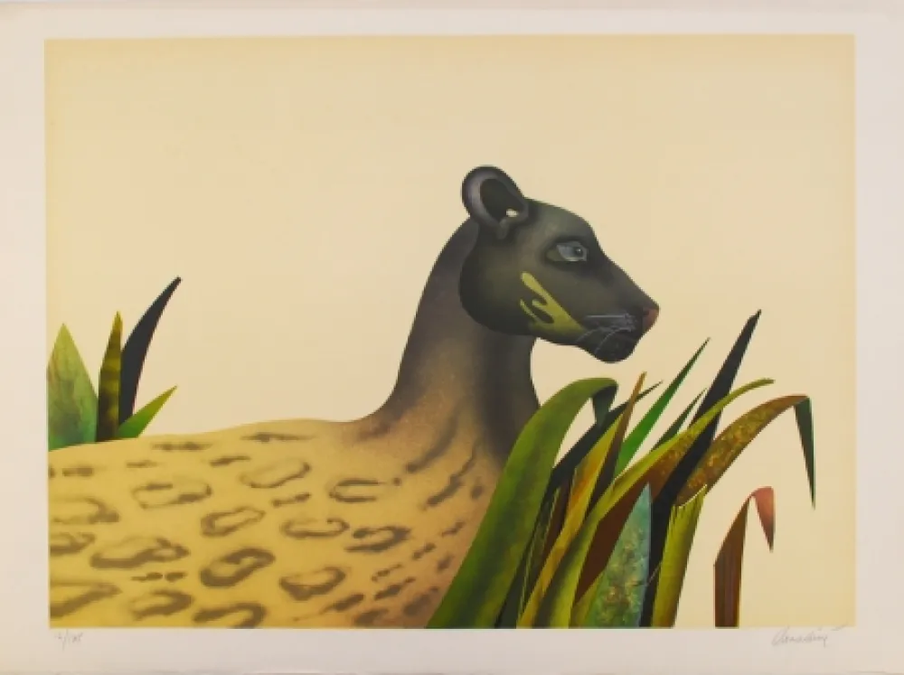 Litografia Donadini - Wildcat