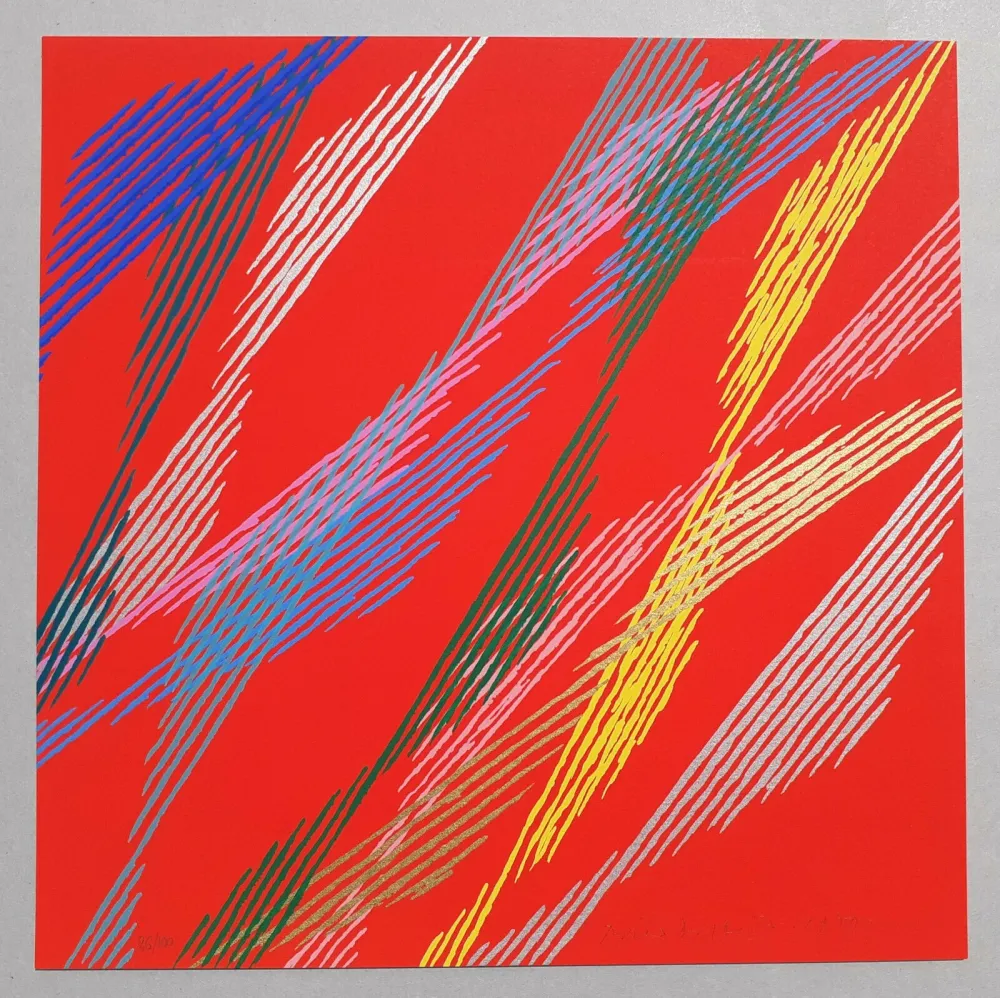 Serigrafia Dorazio - Composizione B