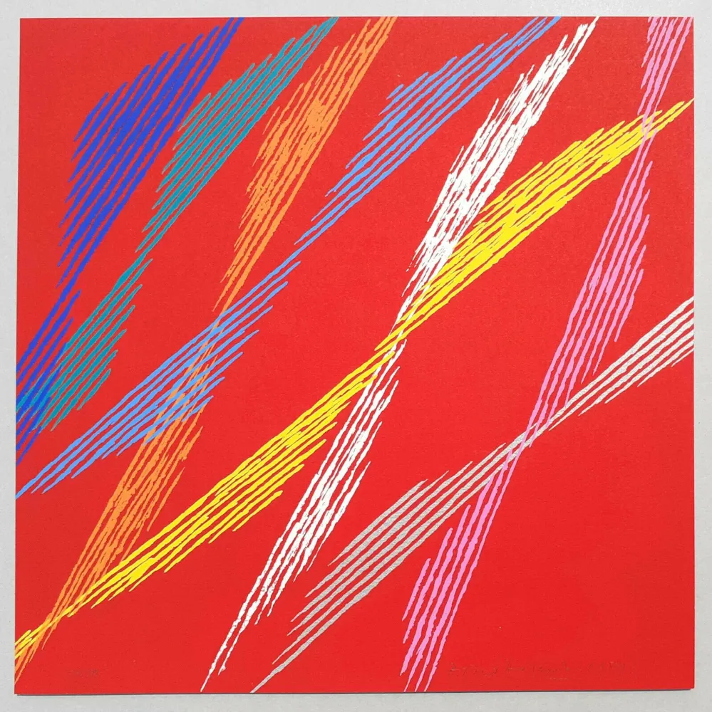 Serigrafia Dorazio - Composizione C