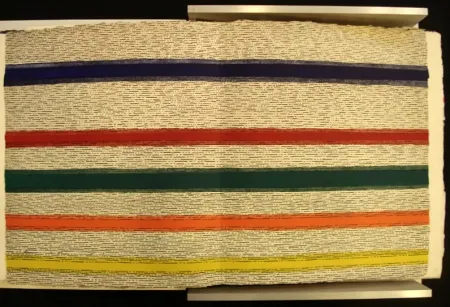 Libro Illustrato Dorazio - New Jersey