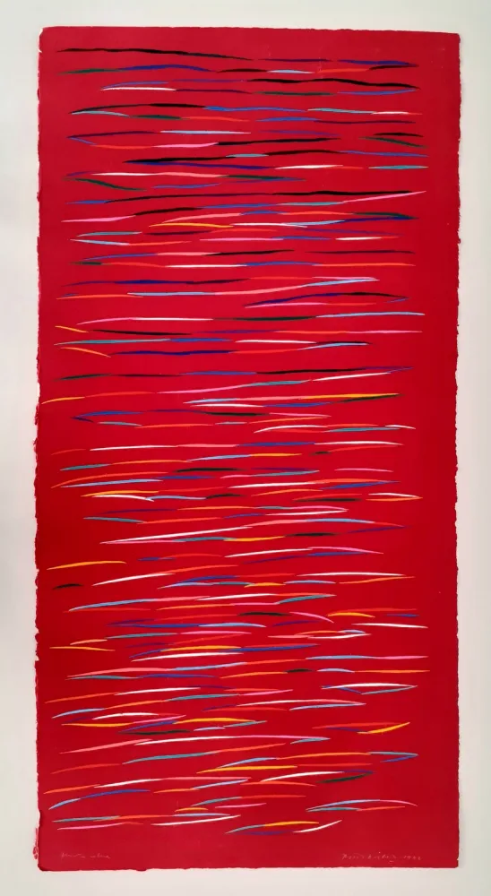 Linoincisione Dorazio - Senza titolo