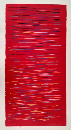 Linoincisione Dorazio - Senza titolo