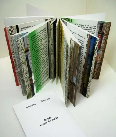 Libro Illustrato Dorny - Des mots, et meme, des mouches 