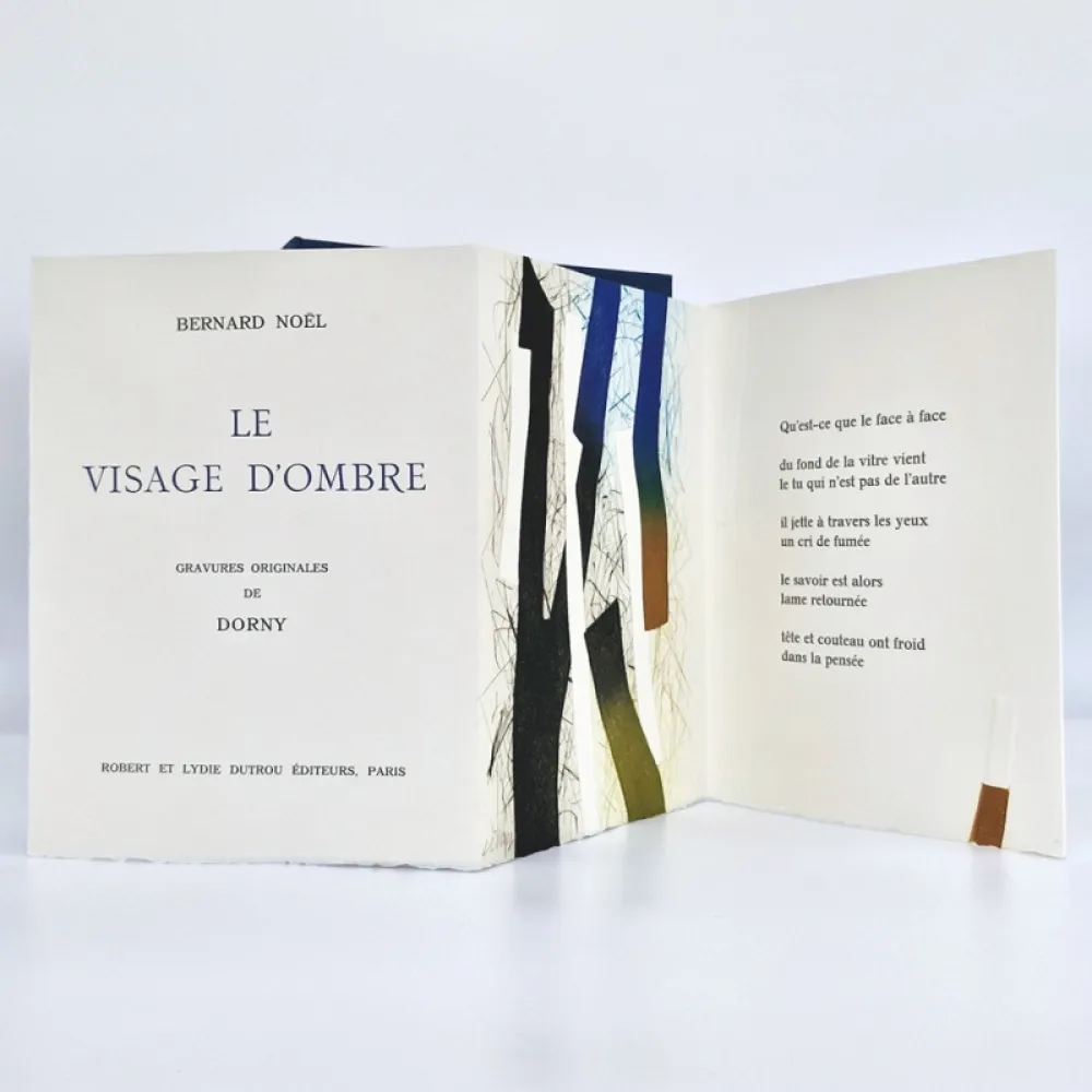 Libro Illustrato Dorny - Le visage d'ombre