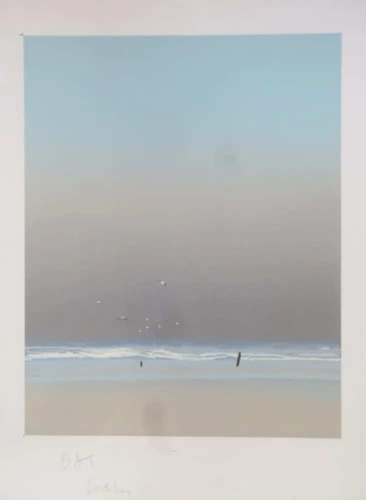 Litografia Doutreleau - Les mouettes