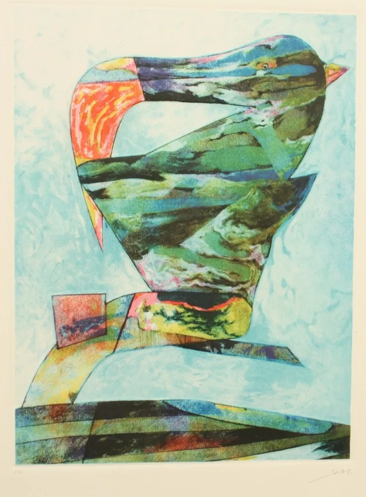 Acquaforte E Acquatinta Dova  - UCCELLO DI BRETAGNA