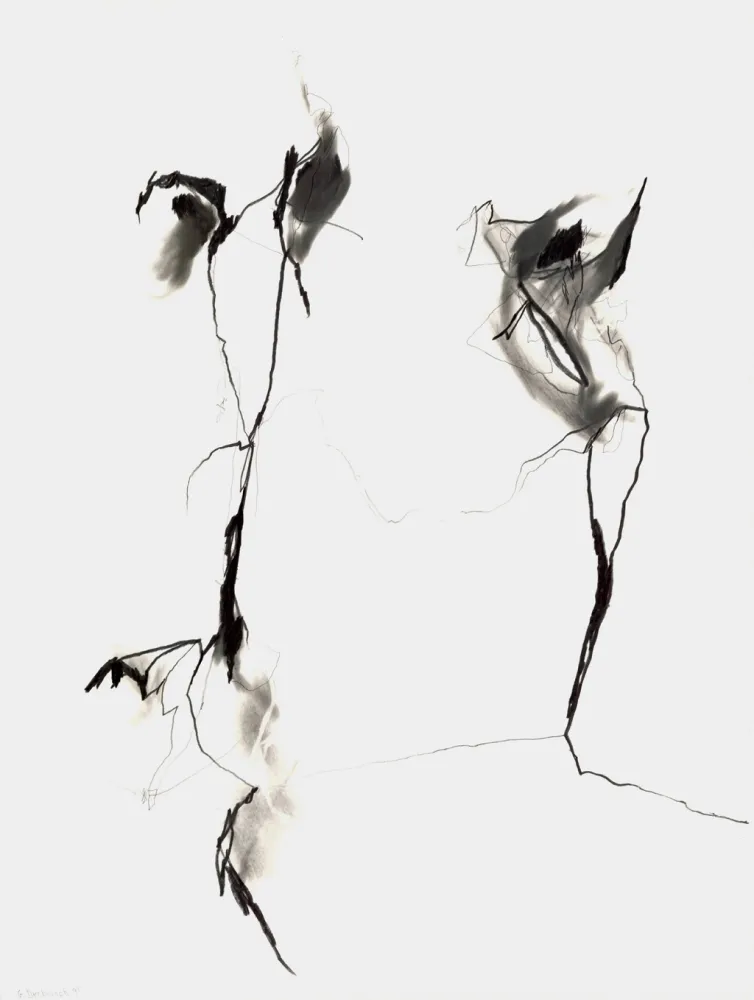 Non Tecnico Drehbusch - Belangloskeiten / Irrelevancies