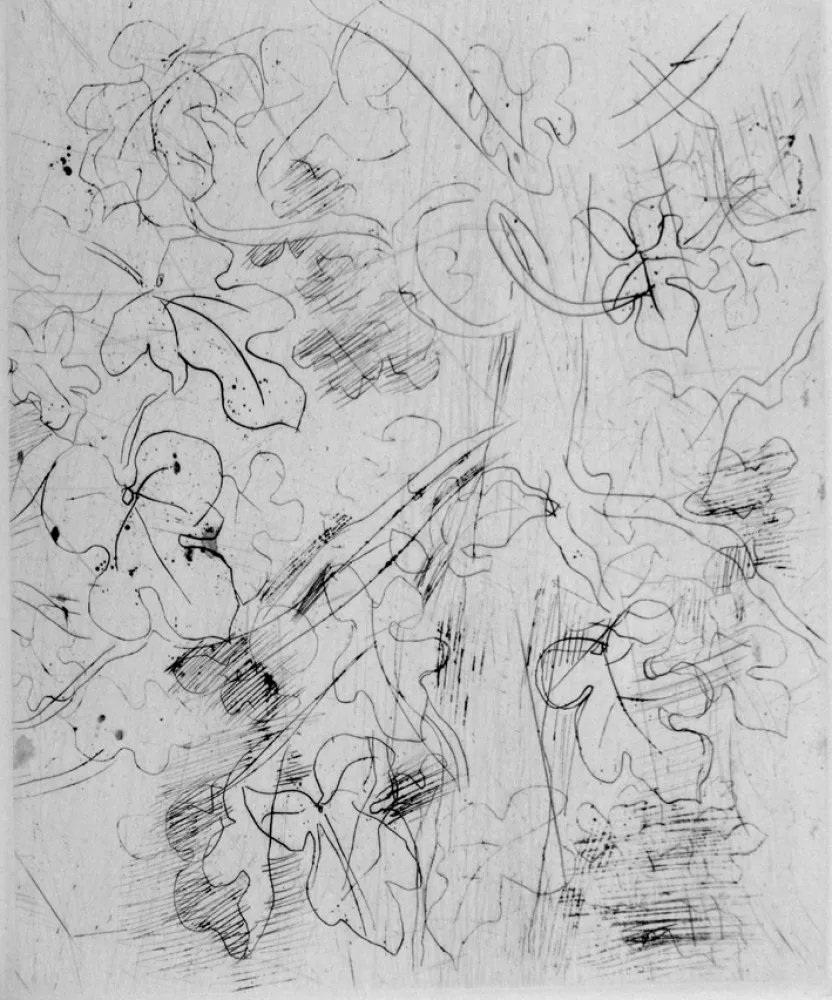 Acquaforte Dufy - Figuier