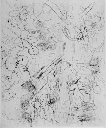 Acquaforte Dufy - Figuier