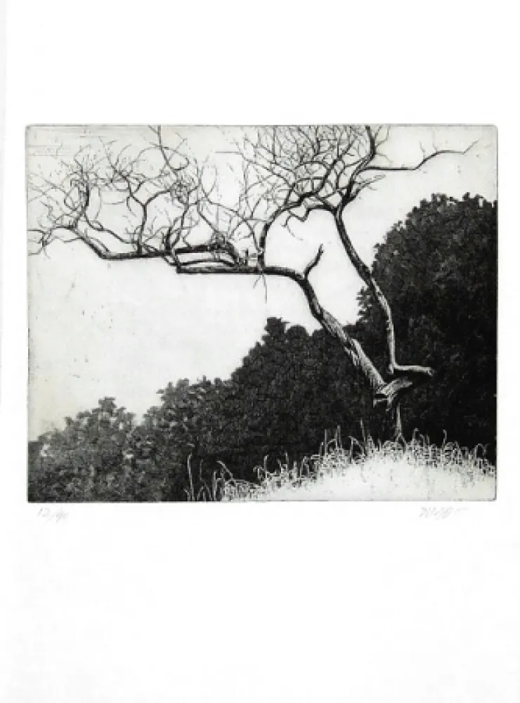 Libro Illustrato Dugo - Poco prima del temporale