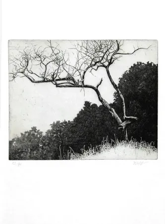 Libro Illustrato Dugo - Poco prima del temporale