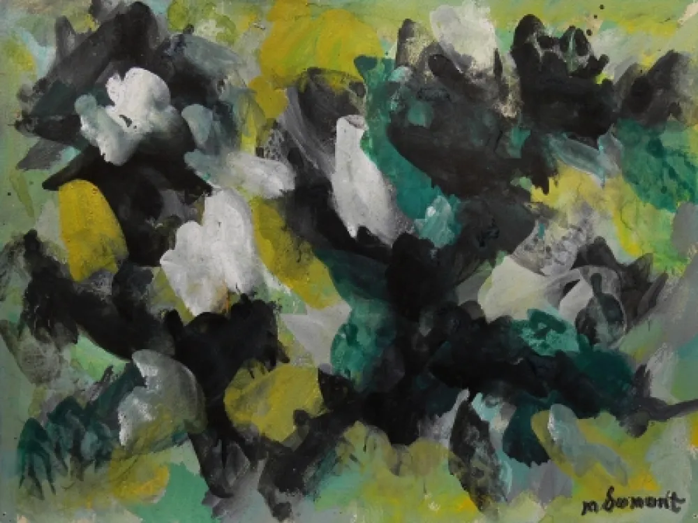 Non Tecnico Dumont - LE VERCORS / THE VERCORS