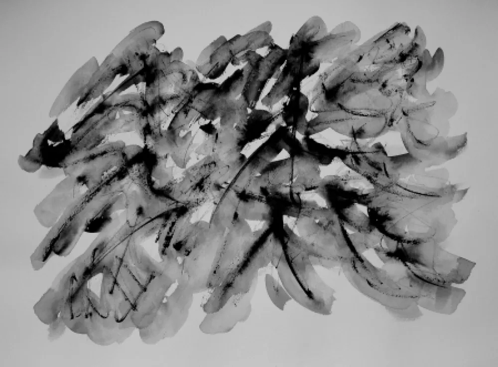 Non Tecnico Dumont - LE VERCORS / THE VERCORS