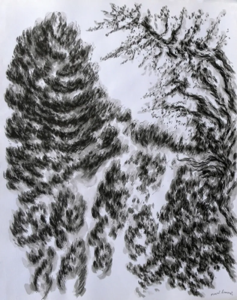 Non Tecnico Dumont - LES / THE ALPILLES