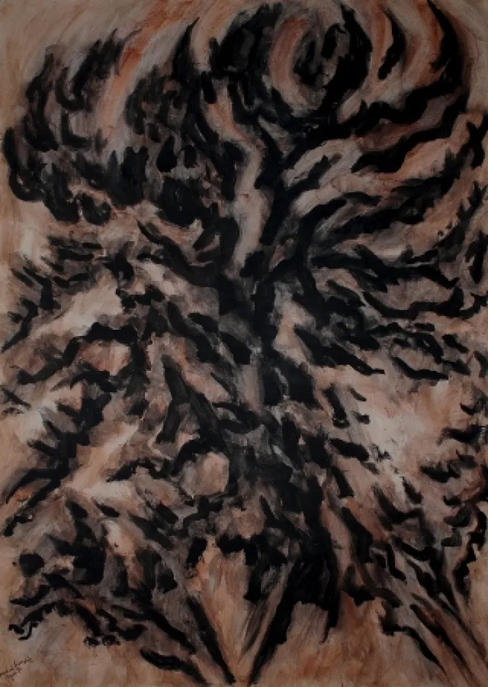 Non Tecnico Dumont - LES / THE ALPILLES