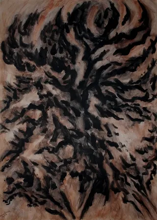 Non Tecnico Dumont - LES / THE ALPILLES