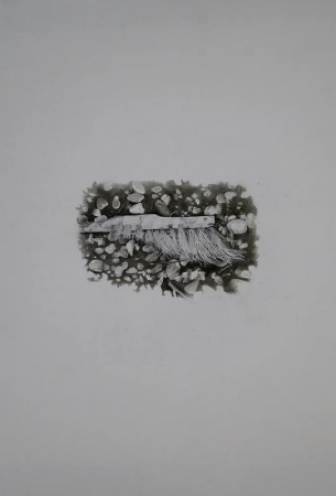 Non Tecnico Ebert - Besen