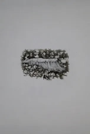 Non Tecnico Ebert - Besen