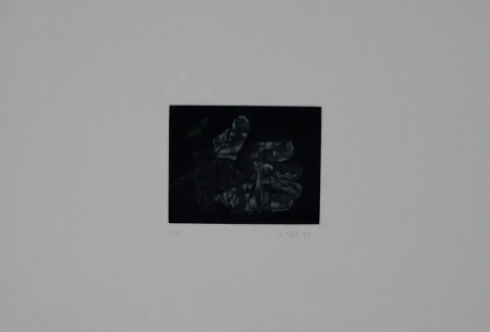 Maniera Nera Ebert - Handschuh / Glove