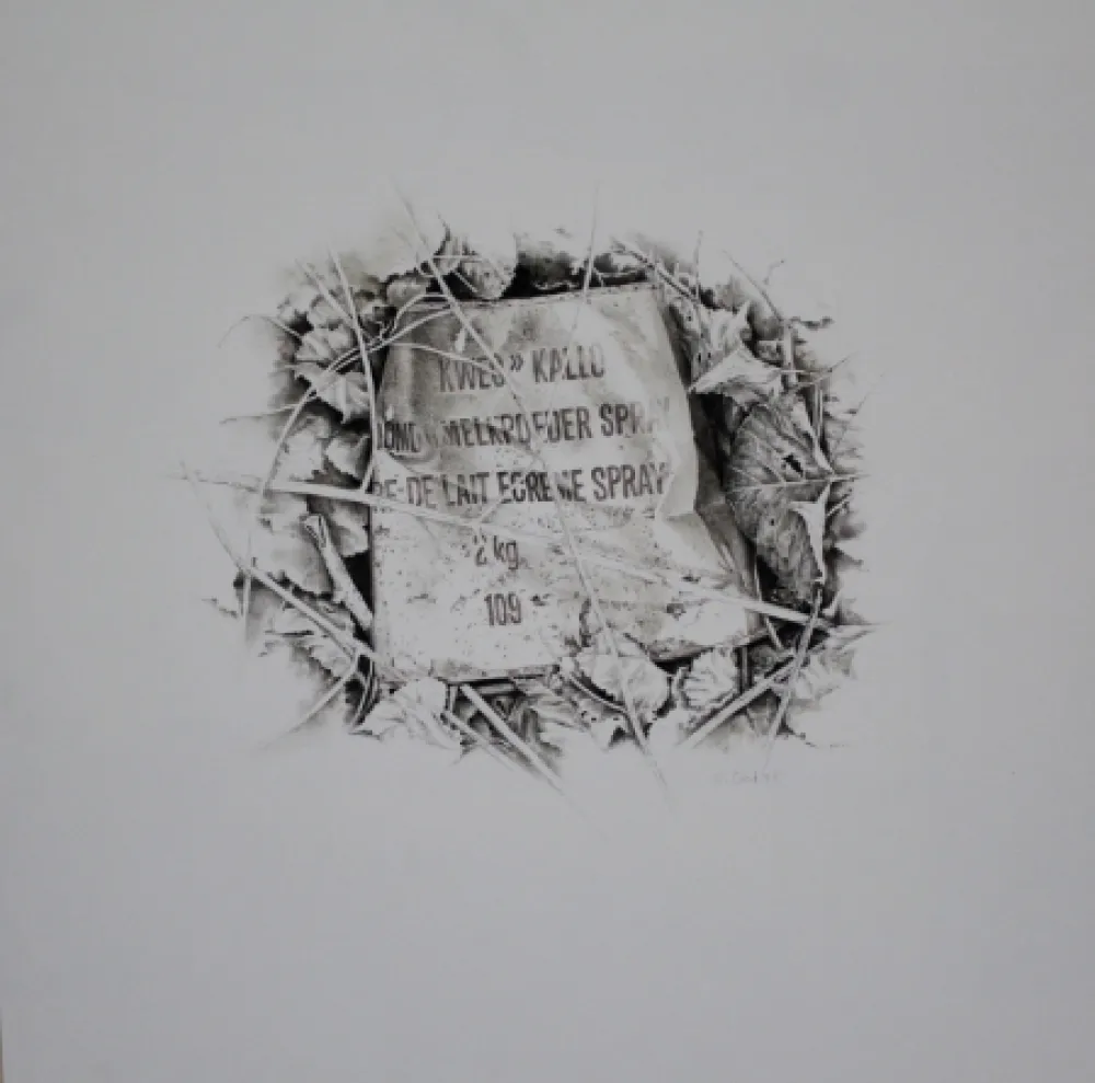 Non Tecnico Ebert - Komposition mit Efeu