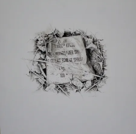 Non Tecnico Ebert - Komposition mit Efeu