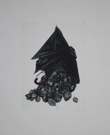 Maniera Nera Ebert - Schirm und Blättern