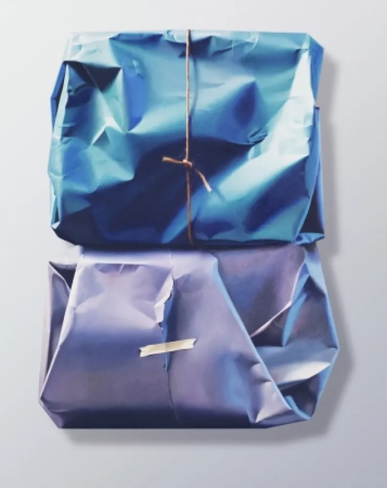 Grafica Numerica Edelmann - Both these Expressions and especially the first are remarkable