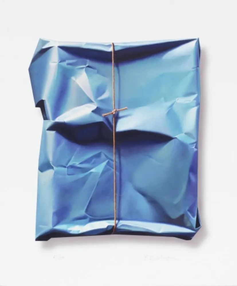 Grafica Numerica Edelmann - Detection of Blue Vibration II