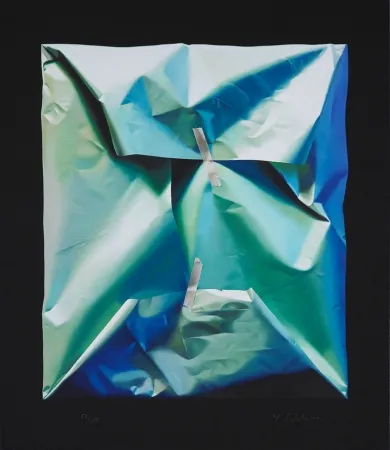 Grafica Numerica Edelmann - The visual Pathway to Green