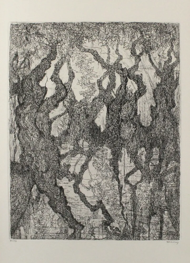 Acquaforte Eliasberg - Die Platanen des Pelion