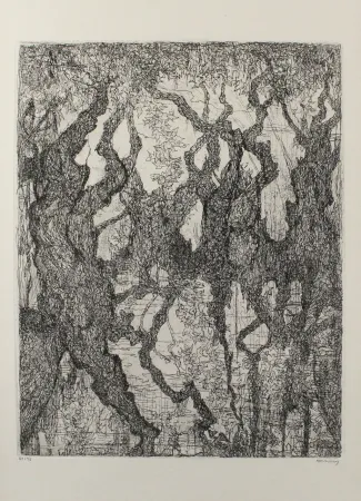 Acquaforte Eliasberg - Die Platanen des Pelion