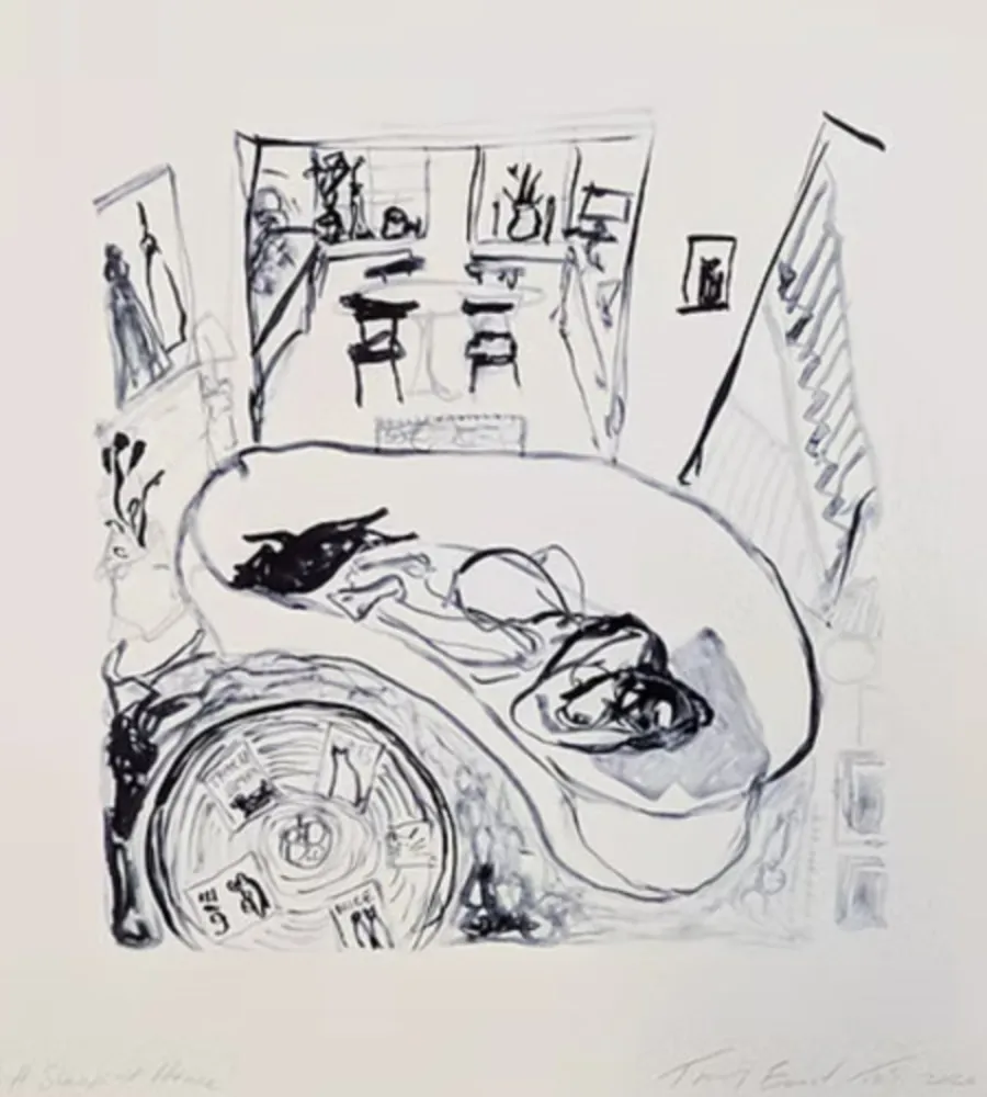 Litografia Emin - A Sleep at Home