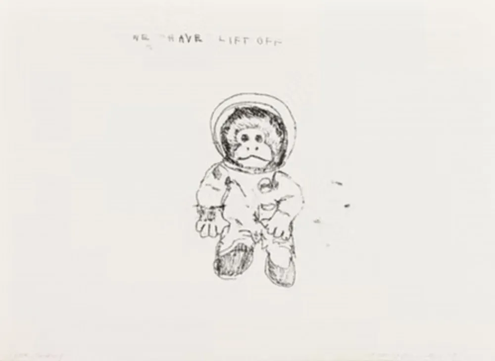 Multiplo Emin - Space Monkey