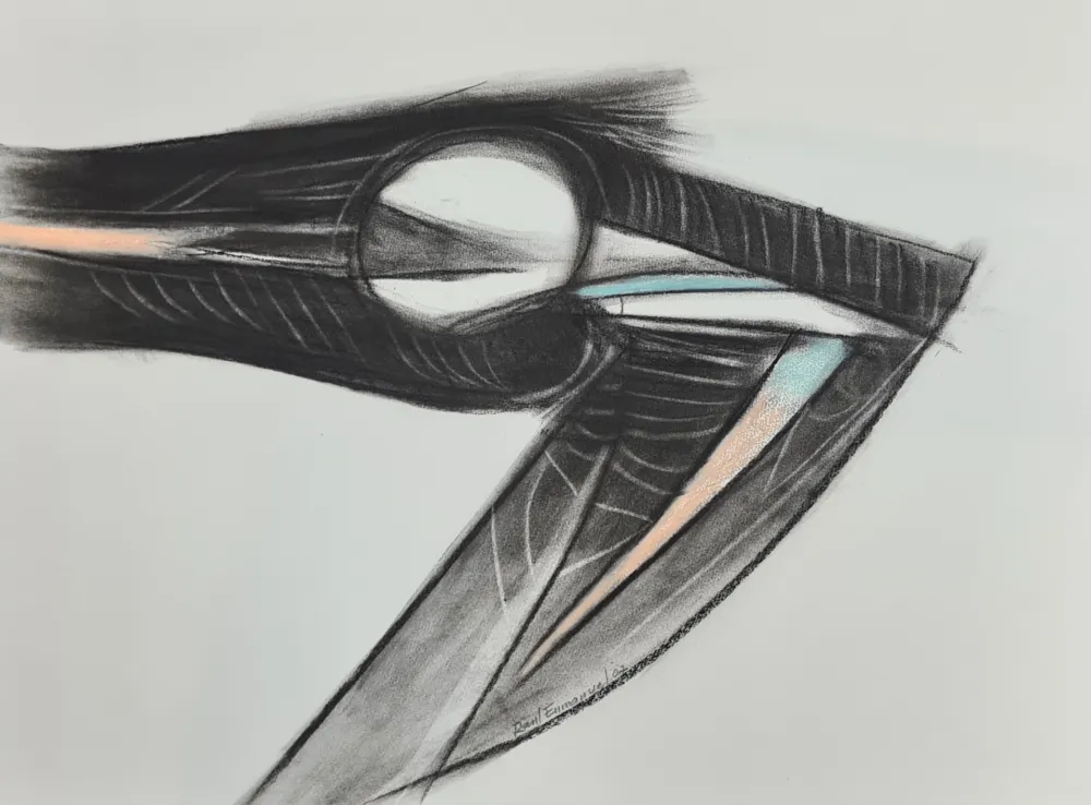 Monotipo Enmanuel - Pajaro en negro y azul