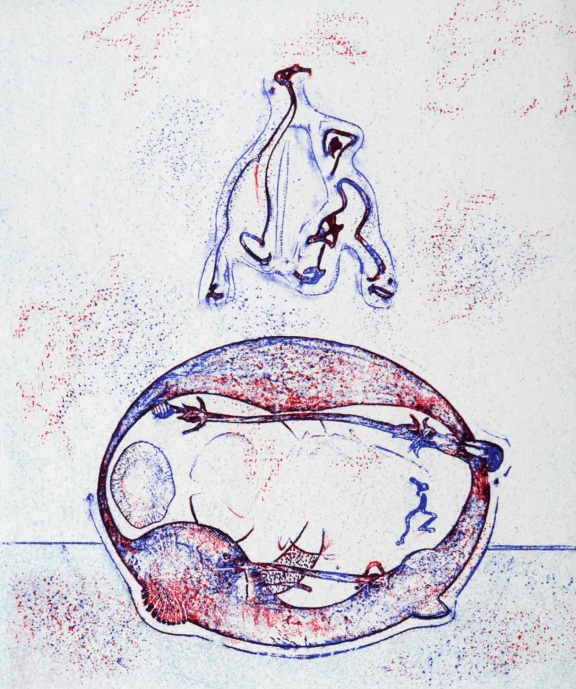 Litografia Ernst - Après moi le XXème siècle, 1971