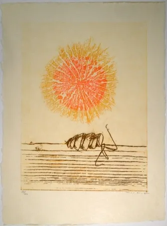 Libro Illustrato Ernst - Die Bedeutung des Schönen in der exakten Naturwissenschaft / The meaning of beauty in exact natural science / Mit drei Original-Farblithographien von Max Ernst